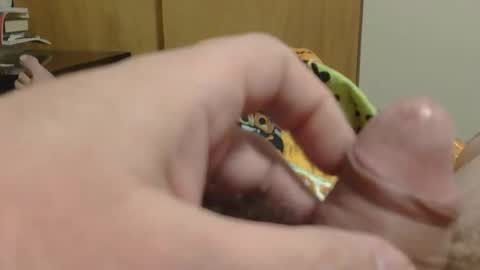 Snapshot of sweetrevengelol chatting on 19, 12, 2025 SweetRevenge online show from 19, 12, 2025