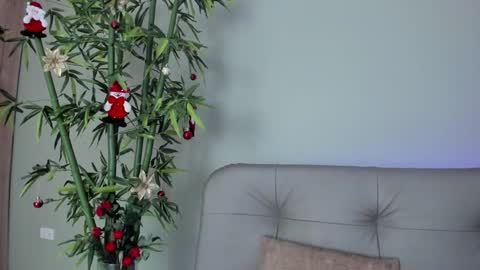    online show from 29, 12, 2024