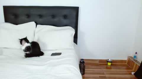 Snapshot of sweetyiris chatting on 5, 7, 2026 iris online show from 5, 7, 2026