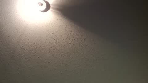 swirlcple69 online show from 1, 3, 2026