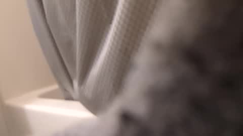 Snapshot of swollpole2112 chatting on 14, 9, 2025 swollpole2112 online show from 14, 9, 2025