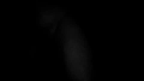 swollpole2112 online show from 10, 3, 2026