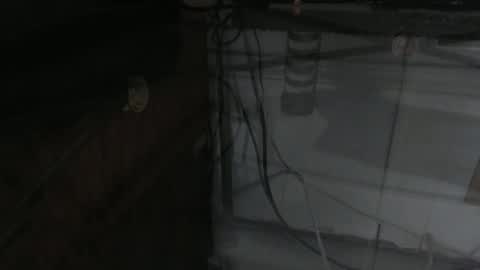 sxulx2c online show from 14, 12, 2024