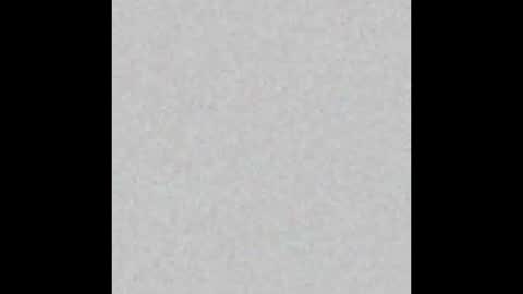 Toneio online show from 2, 3, 2026