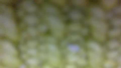 Snapshot of t__o__m__m__y__2323 chatting on 29, 5, 2026 Prostate Orgazmer online show from 29, 5, 2026
