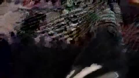 Canon online show from 21, 3, 2026