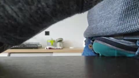 taconatatox online show from 2, 12, 2024