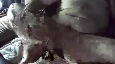 Snapshot of tacozod chatting on 2, 1, 2025 tacozod online show from 2, 1, 2025