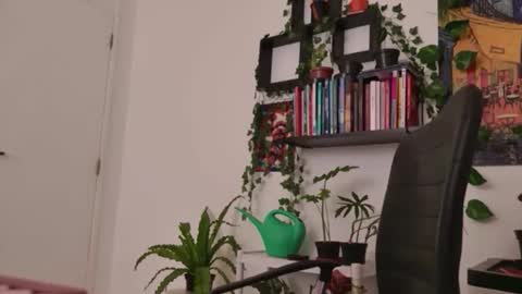 Tali Majid online show from 6, 1, 2026