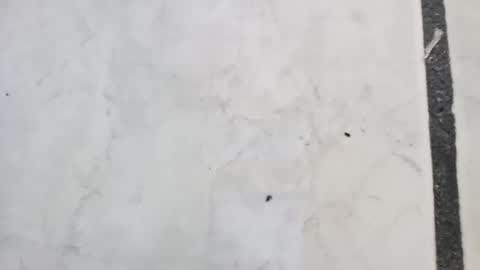 Snapshot of tall6feet7inch chatting on 14, 9, 2025 tall6feet7inch online show from 14, 9, 2025