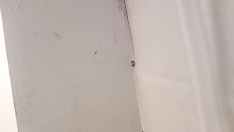 Snapshot of tall6feet7inch chatting on 18, 12, 2025 tall6feet7inch online show from 18, 12, 2025