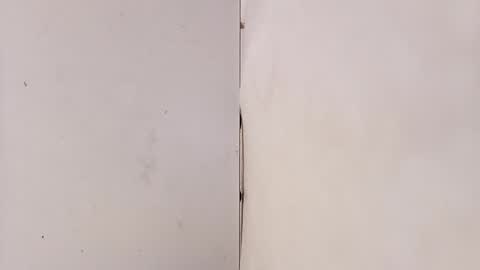 tall6feet7inch online show from 15, 3, 2026