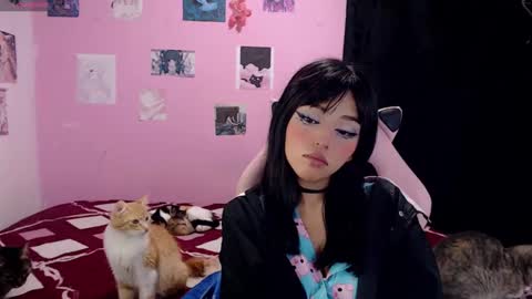 Snapshot of tamako_kitty__ chatting on 27, 12, 2024 Alejandra Independent model online show from 27, 12, 2024