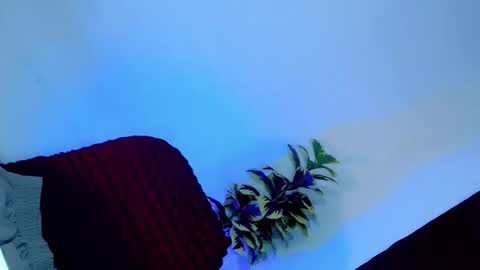 tamera_cummer0969 online show from 20, 11, 2025