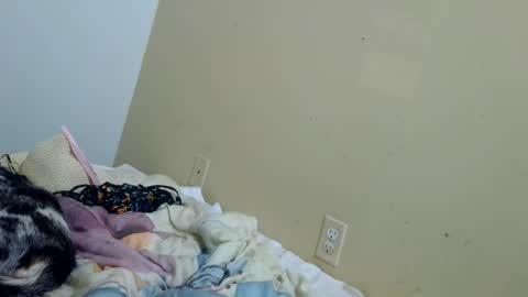 Snapshot of tastycakes96 chatting on 28, 6, 2026 tastycakes96 online show from 28, 6, 2026