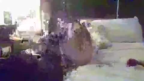 tatibaby4 online show from 14, 1, 2026