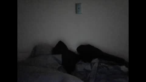 tattedpanther online show from 3, 12, 2024