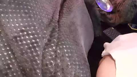 Jean pool online show from 17, 12, 2025