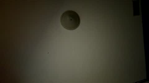 Snapshot of tattoosnsmoke1111 chatting on 3, 12, 2025 tattoosnsmoke1111 online show from 3, 12, 2025