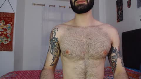 Taylor online show from 15, 12, 2024