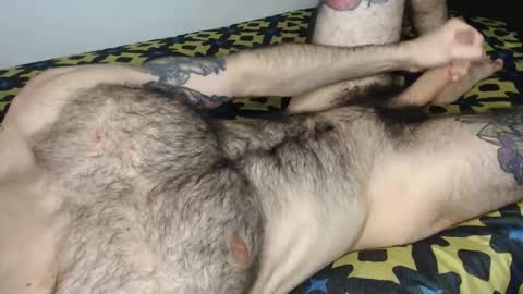 Taylor online show from 8, 1, 2026