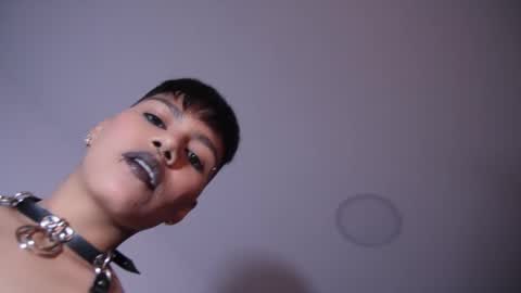 Taylor online show from 10, 1, 2026