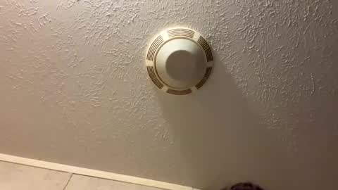 Lilbeebs online show from 27, 10, 2025