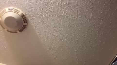 Lilbeebs online show from 26, 3, 2026