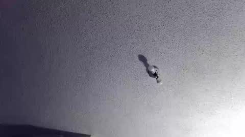 Snapshot of technosex14 chatting on 20, 11, 2025 technosex14 online show from 20, 11, 2025