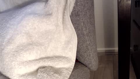 Tedging2 online show from 28, 1, 2025