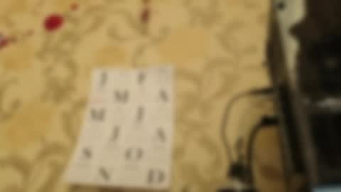 Ada  online show from 4, 4, 2026