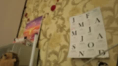 Ada  online show from 24, 4, 2026