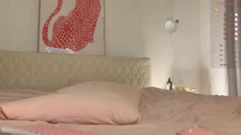 tenderiris online show from 23, 9, 2025