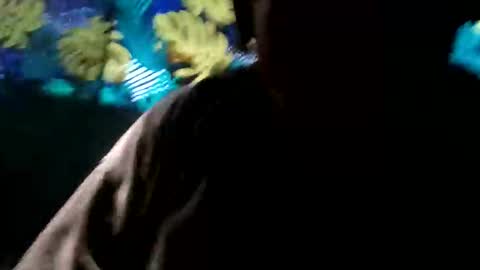 tennesseea online show from 23, 11, 2025