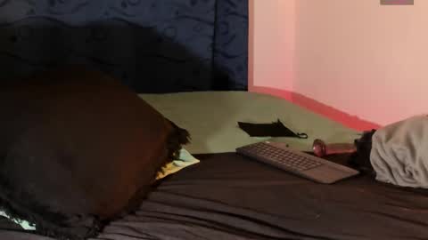 Teo online show from 7, 3, 2025