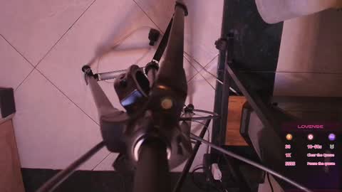 Terra Elowen online show from 4, 11, 2025