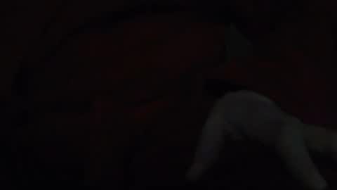 tetuo2 online show from 17, 11, 2025