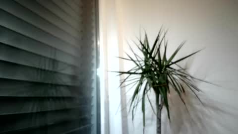 tger2024 online show from 3, 11, 2025