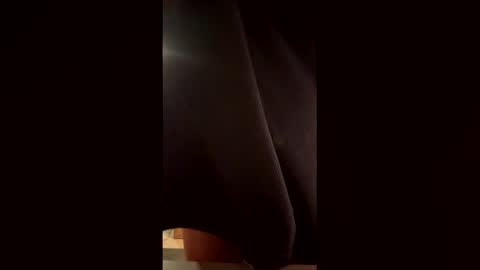 Snapshot of th3xgoat chatting on 17, 2, 2026 Wildeman online show from 17, 2, 2026