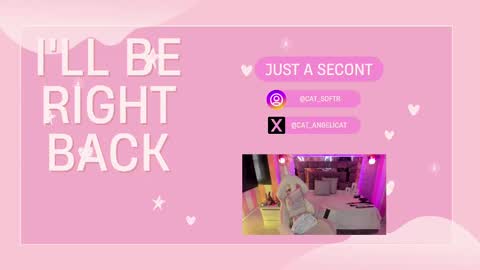 i am Cat  online show from 12, 3, 2025