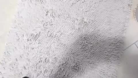 Snapshot of the_one_who_is_small chatting on 8, 4, 2026 TheOne online show from 8, 4, 2026