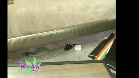 Snapshot of thebeejayshow chatting on 23, 5, 2026 TheBeeJayShow online show from 23, 5, 2026