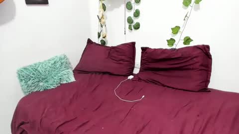 Ariamapola88 online show from 5, 2, 2025