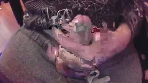 The Fox  The Cat online show from 8, 1, 2025