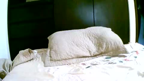 Snapshot of thegreatunicorn chatting on 12, 1, 2025 thegreatunicorn online show from 12, 1, 2025