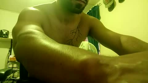 thehousedog online show from 19, 2, 2025