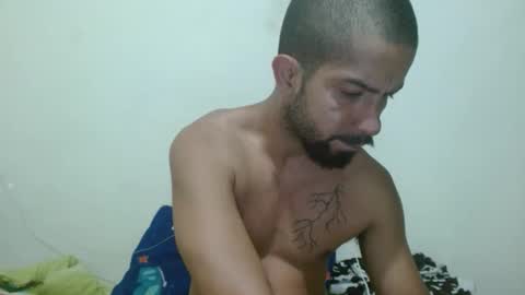 thehousedog online show from 25, 11, 2025