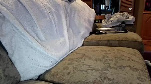 theicecreamguru online show from 8, 10, 2025