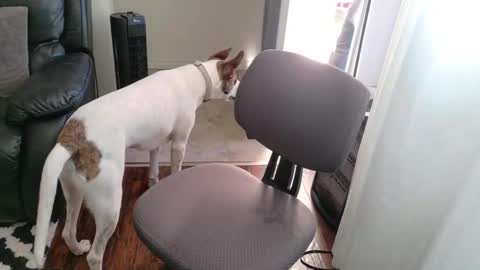 Snapshot of thekodyy chatting on 15, 11, 2025 thekodyy online show from 15, 11, 2025