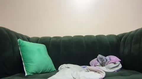 Snapshot of thenymphshow chatting on 11, 1, 2025 thenymphshow online show from 11, 1, 2025